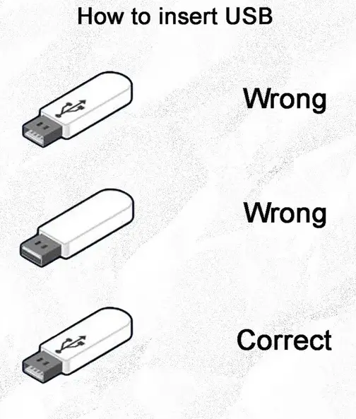 1768219476786.webp