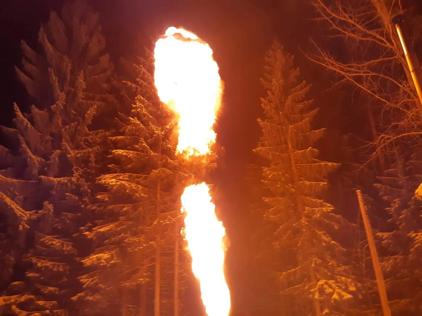 20190105_172209(0).webp