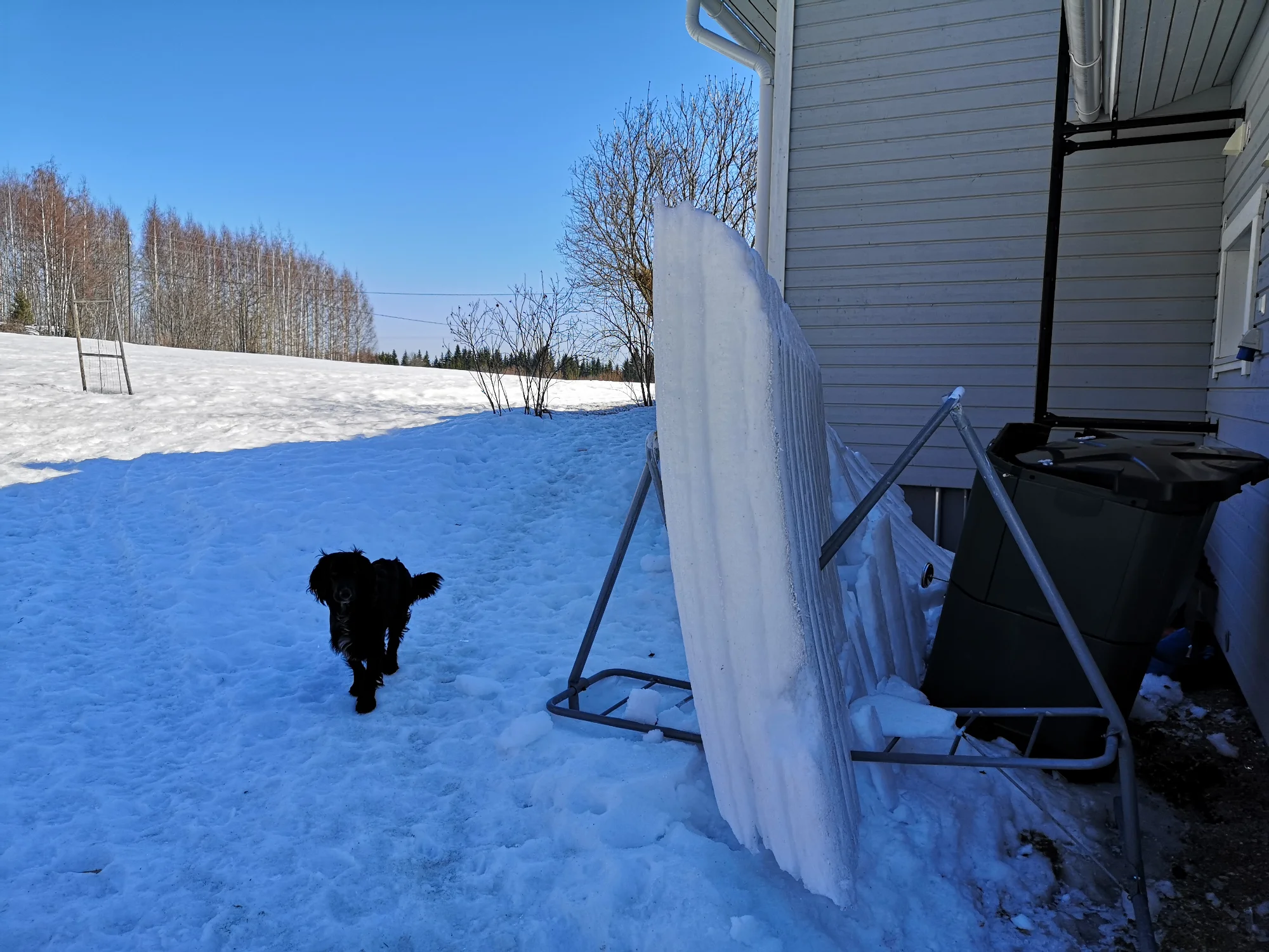 2023-04-15 12.14.24.webp