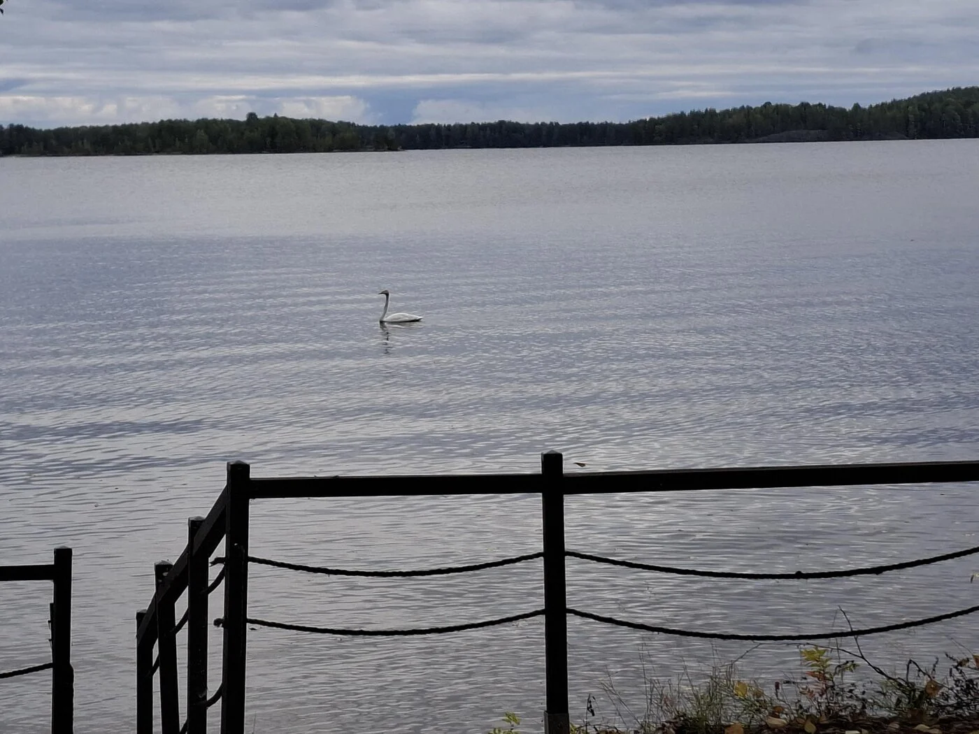 20240921_092412.webp