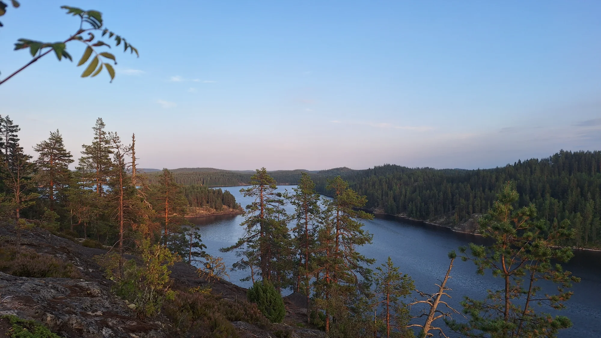 20250729_203333.webp
