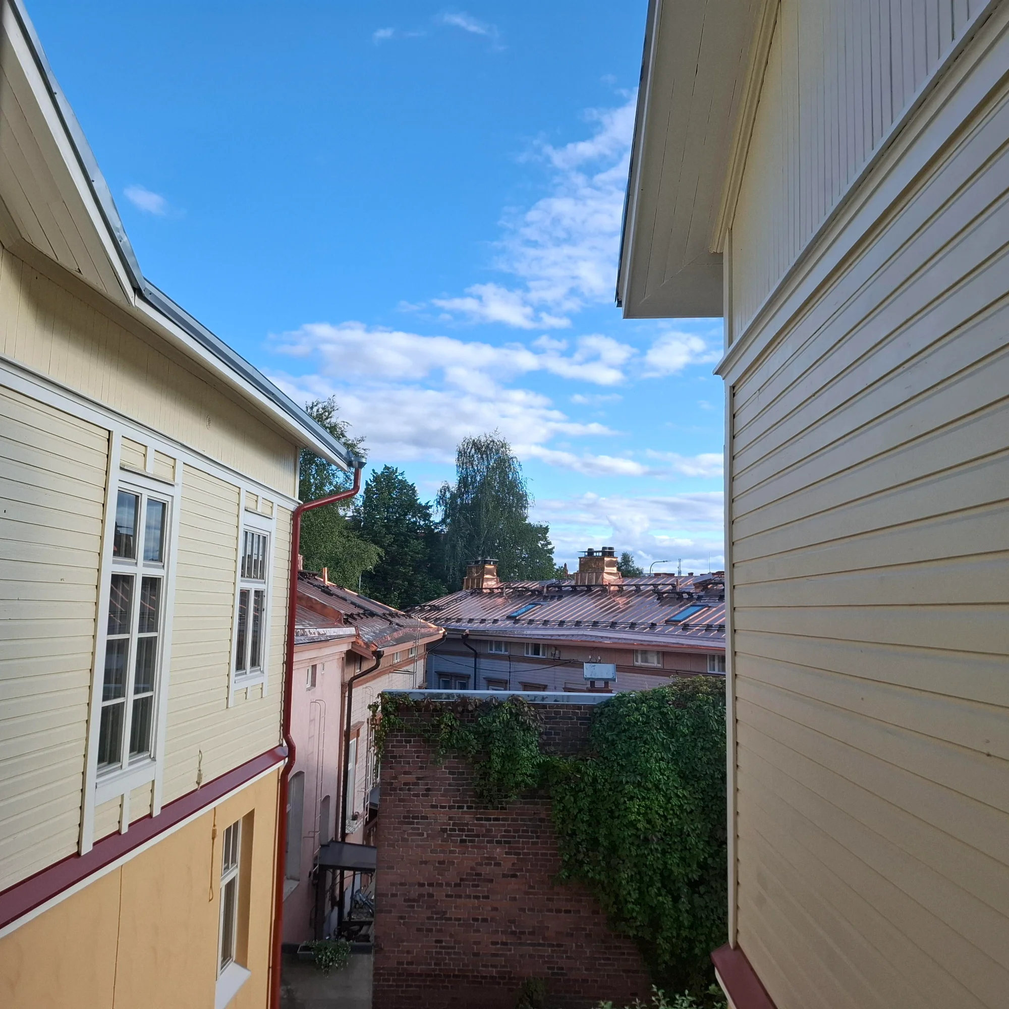 20250819_182601.webp
