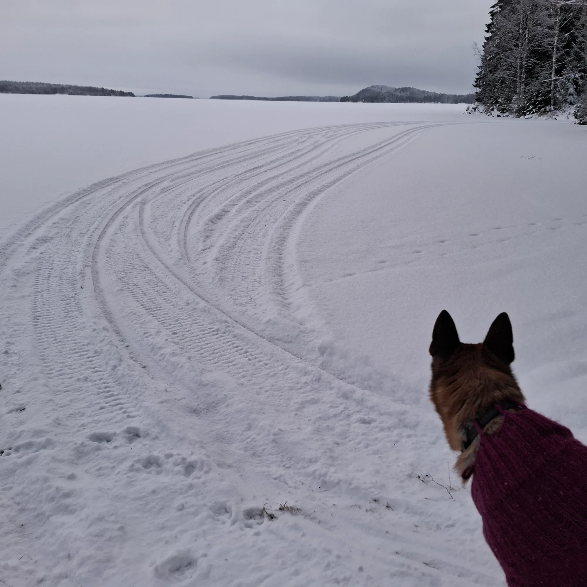 20260106_094232.webp