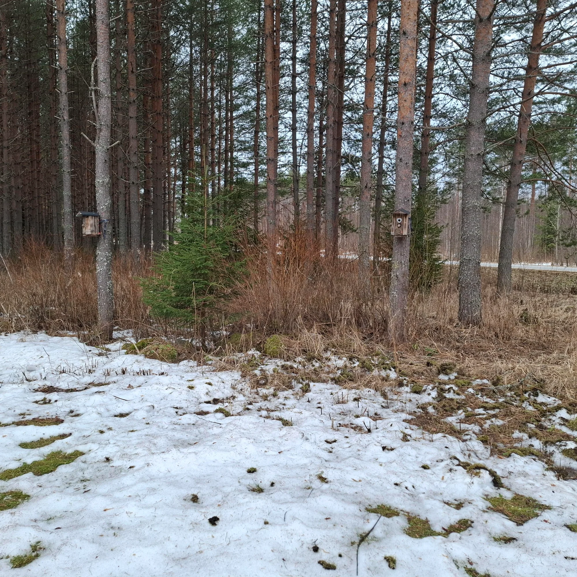 20260321_102511.webp