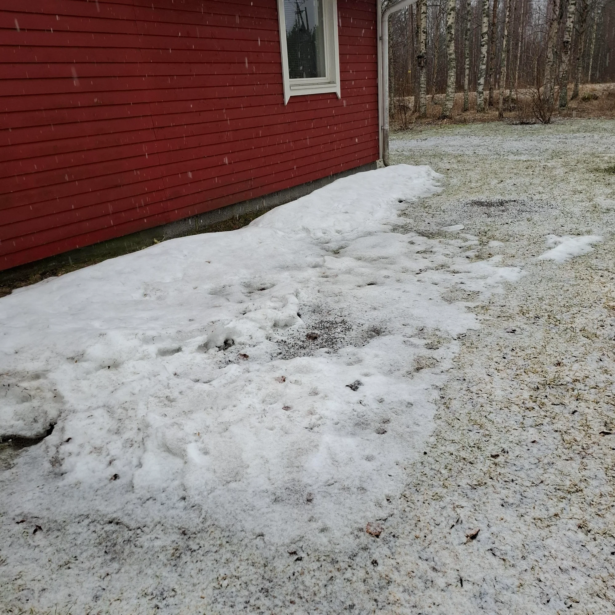 20260331_113511.webp