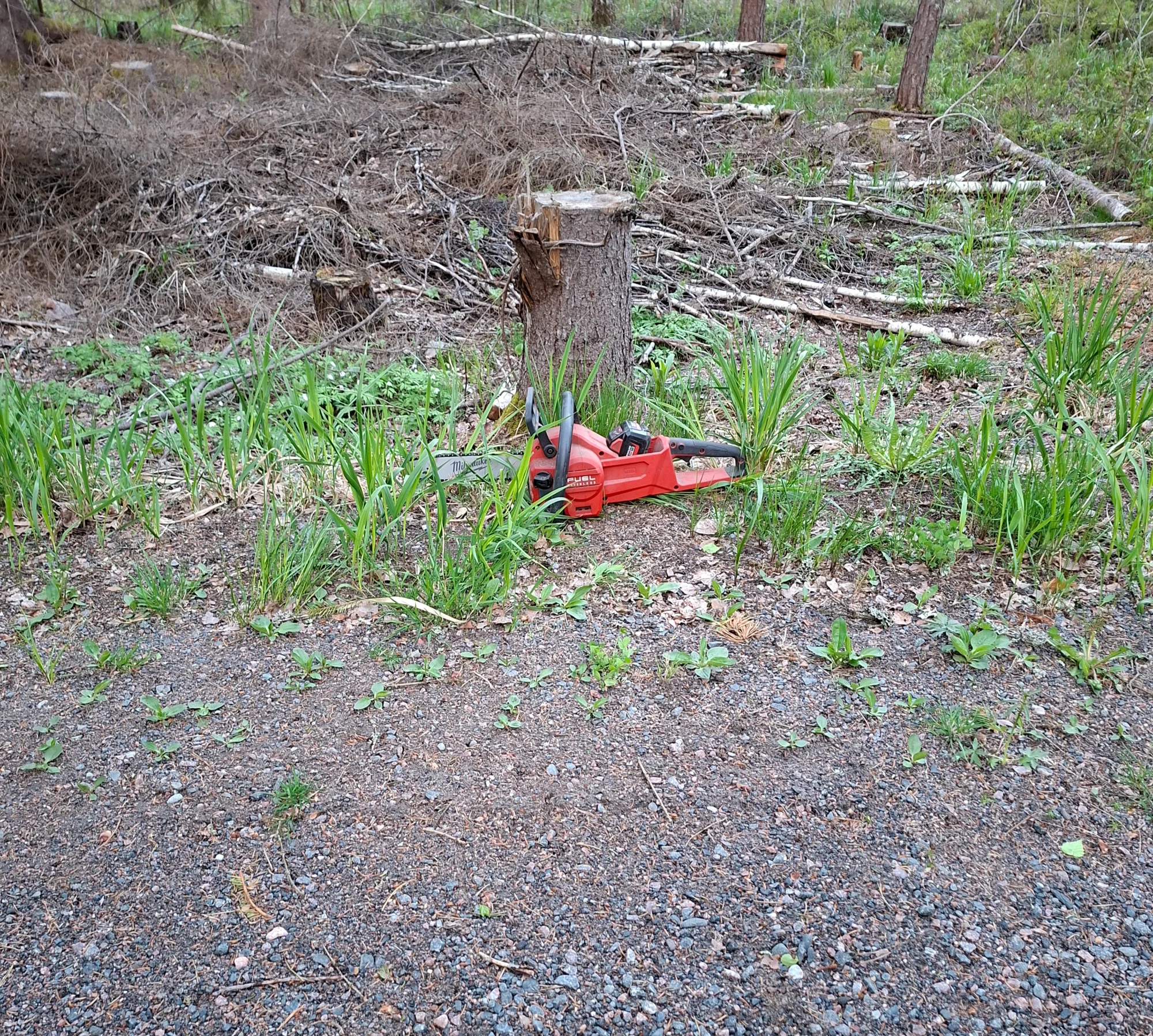 20260514_214121.webp