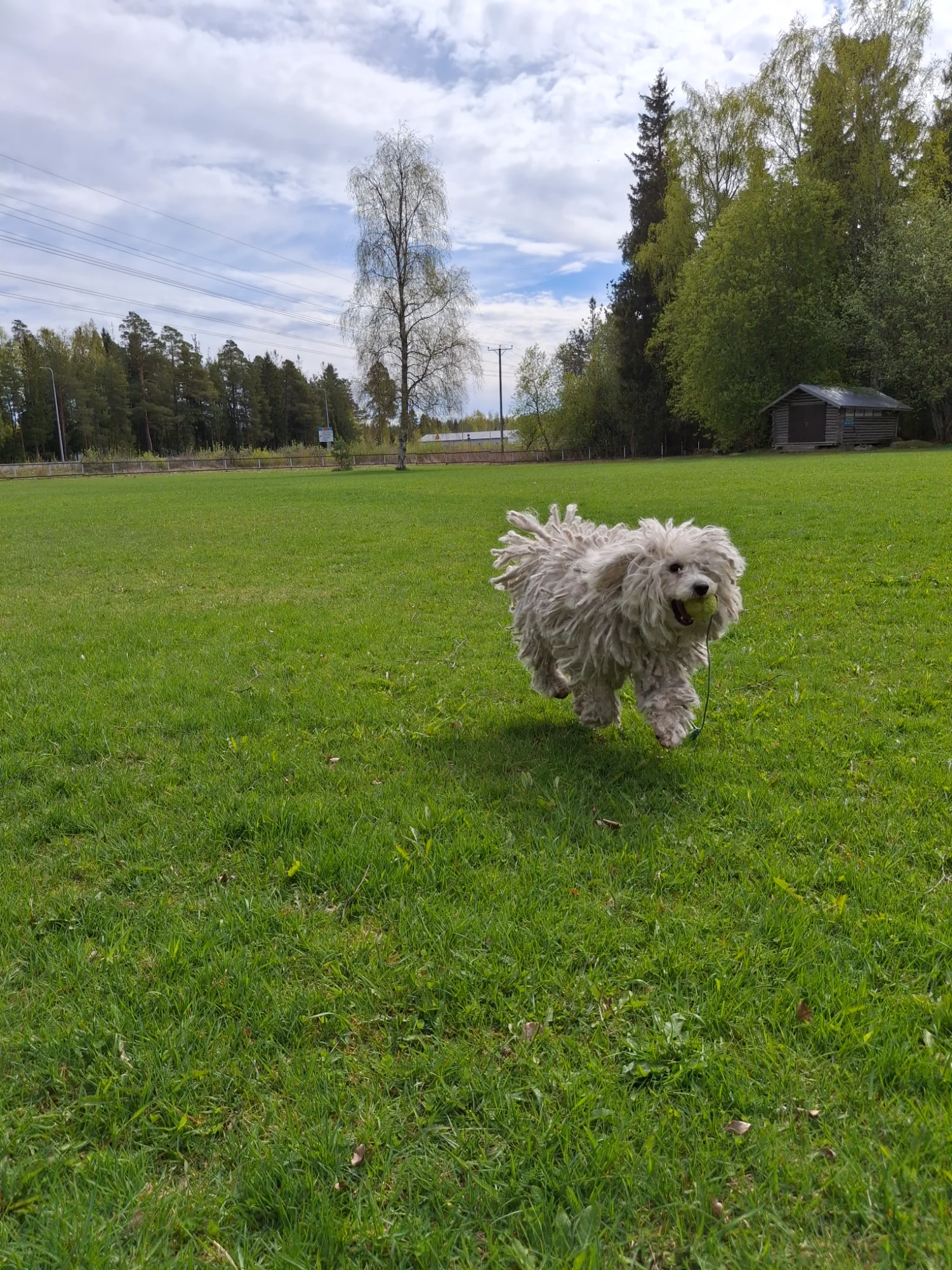 20260516_130633.webp