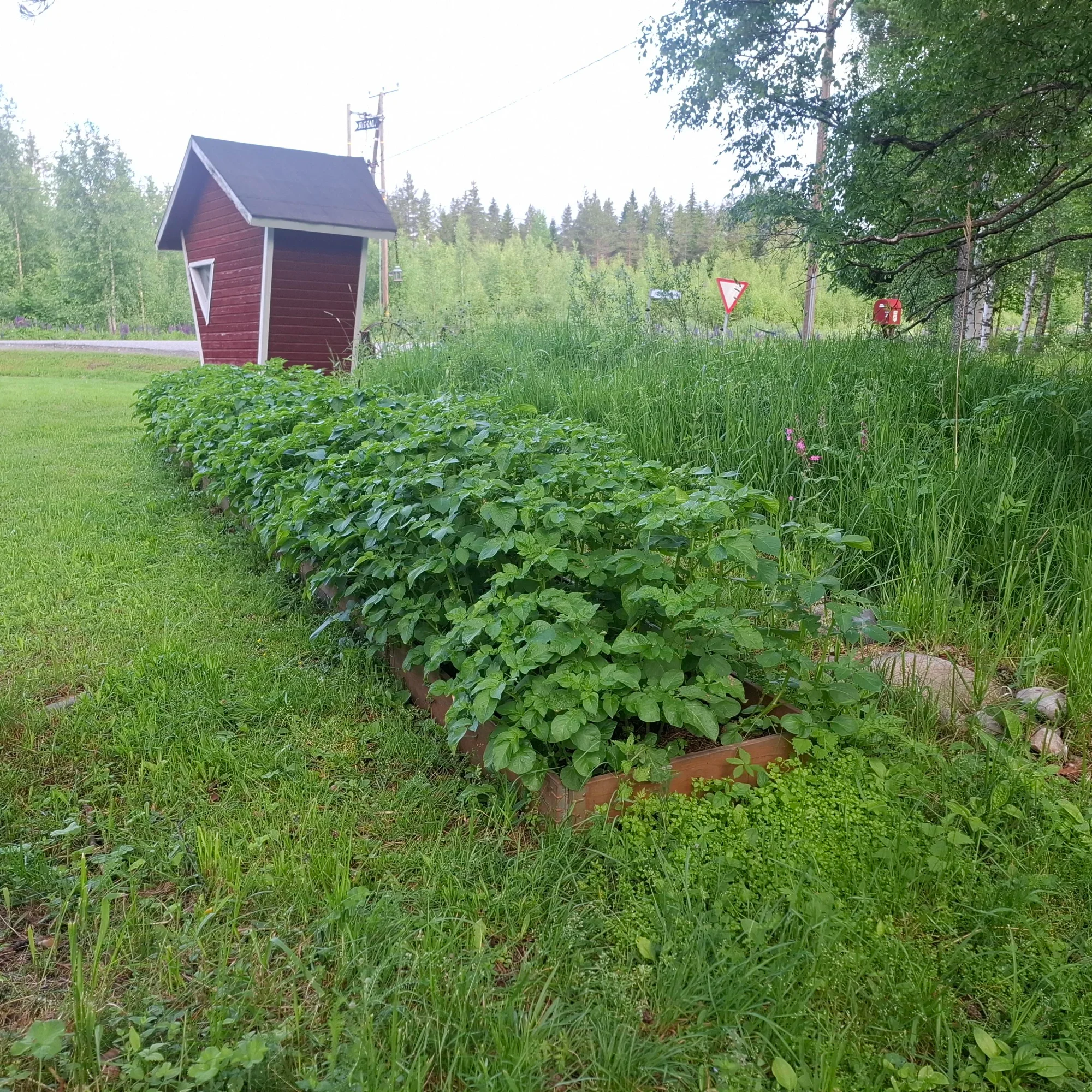 20260619_071628.webp