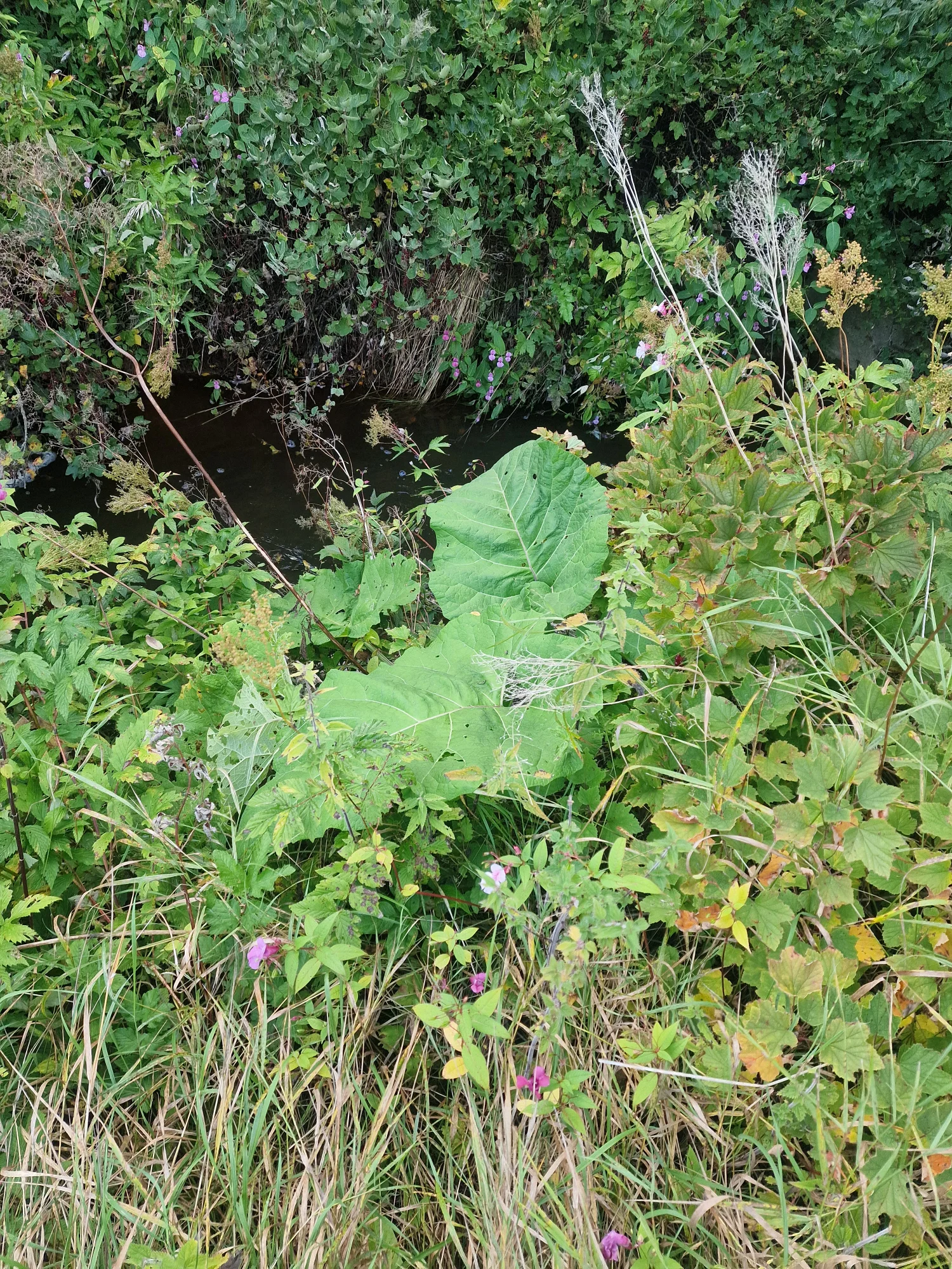 20260911_190318.webp