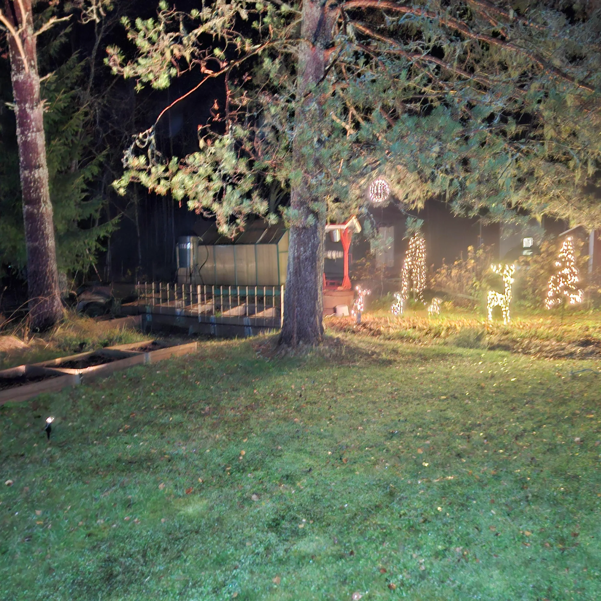 20261017_062456.webp