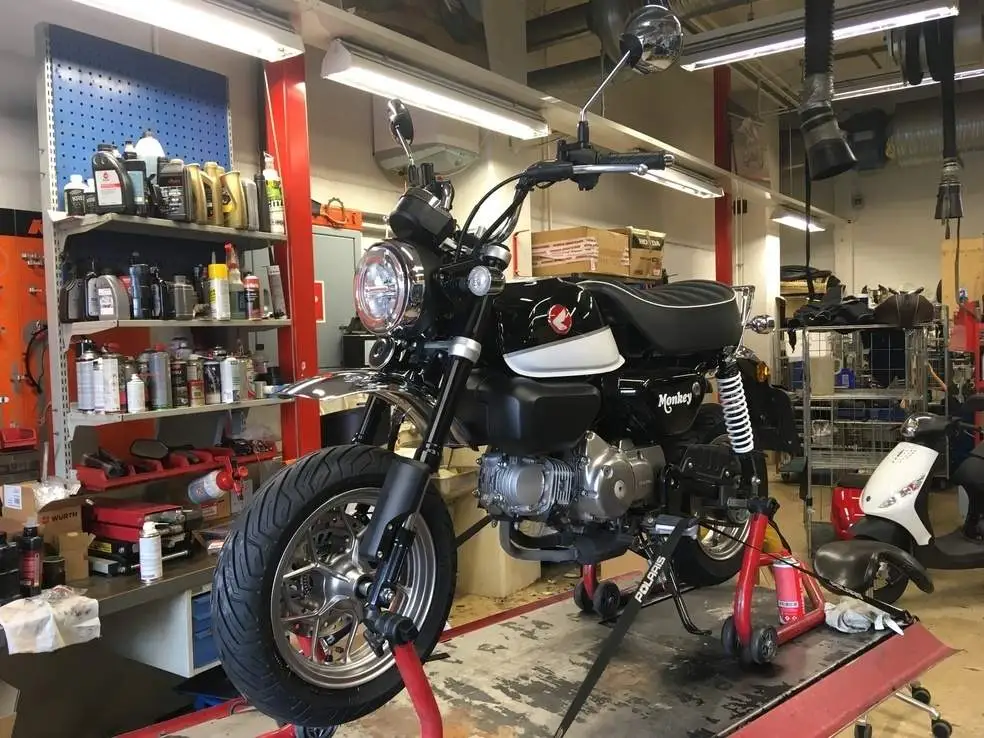 bikepics-2815617-984.webp