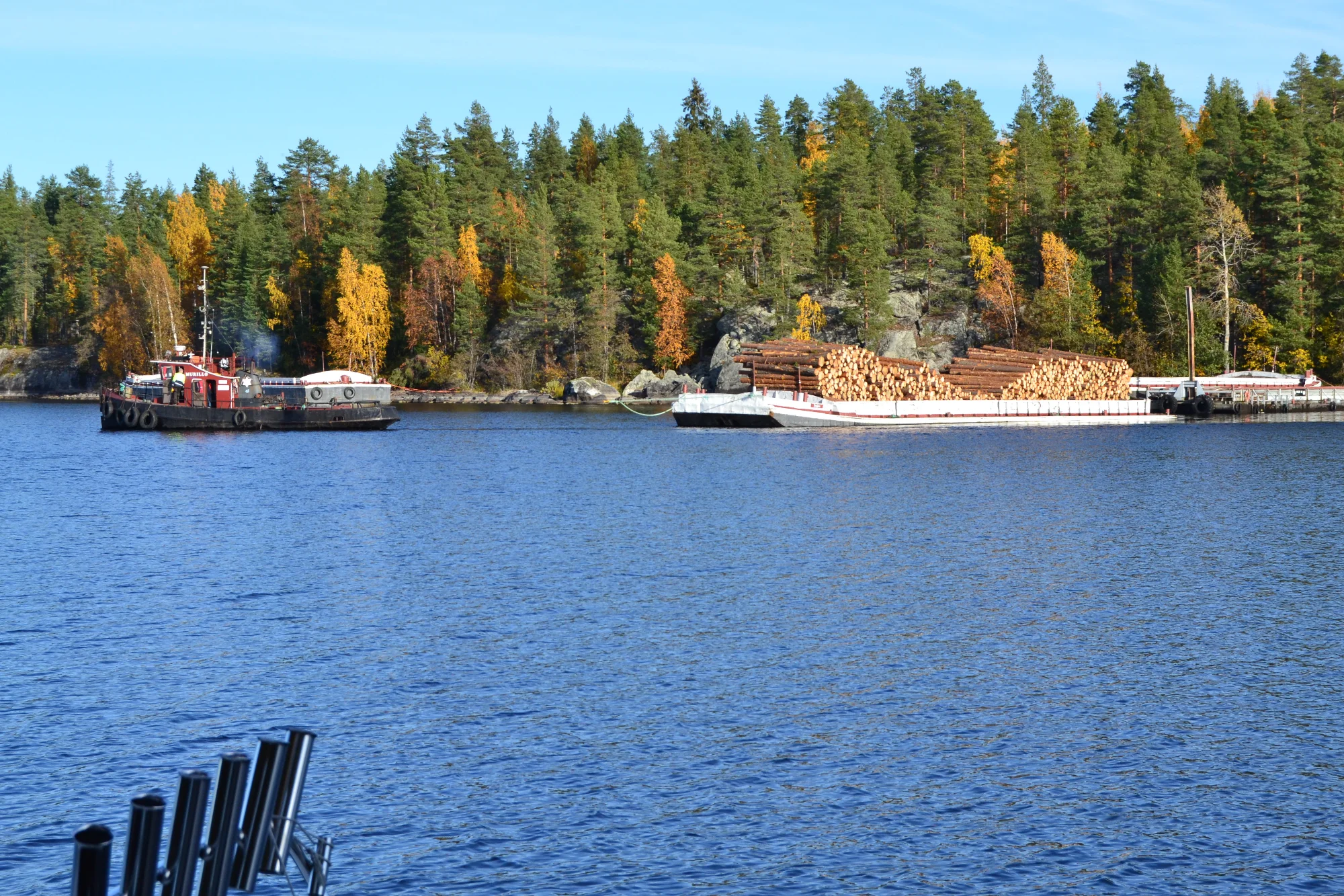 DSC_0144.webp