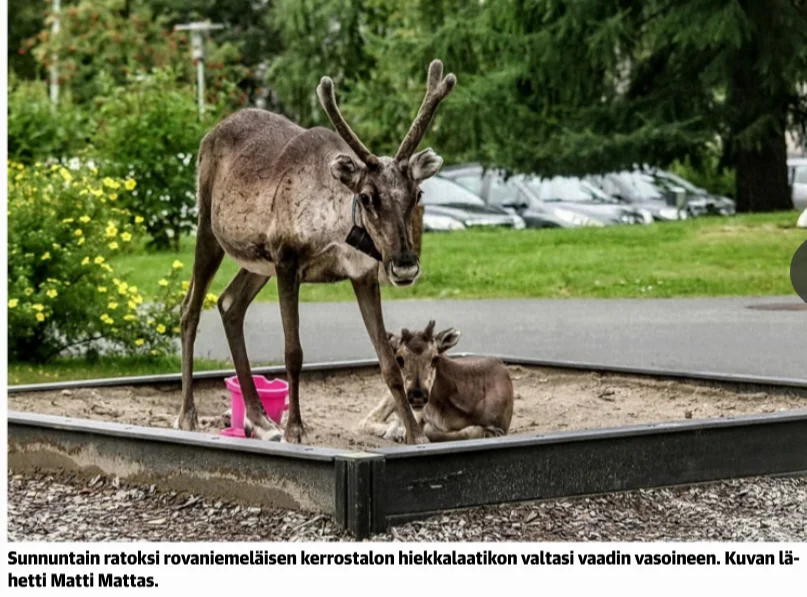 Hiekkalaatikko 2026-08-12 203639.webp