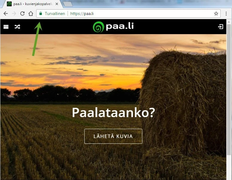 https-paali.webp
