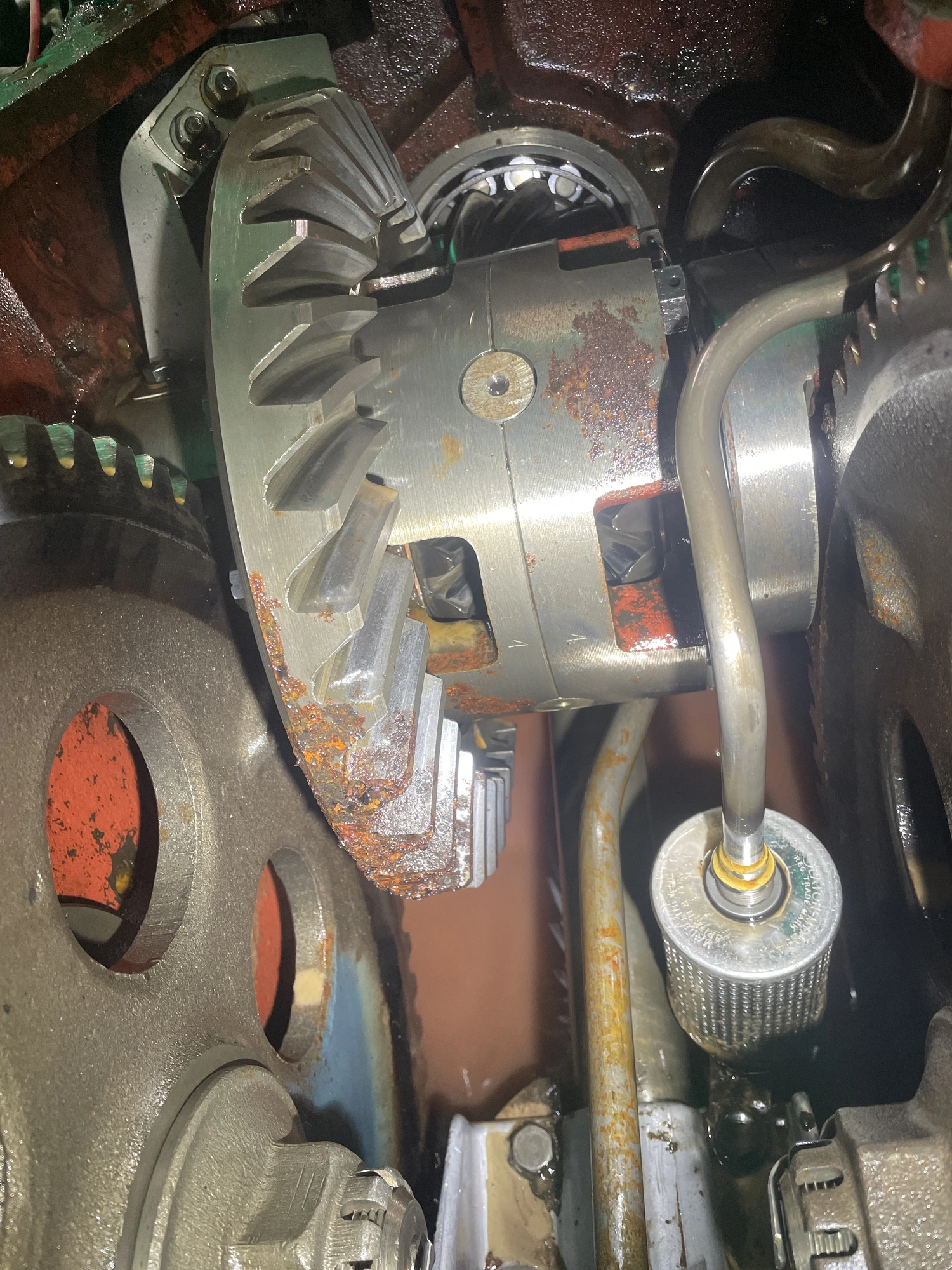 image.webp