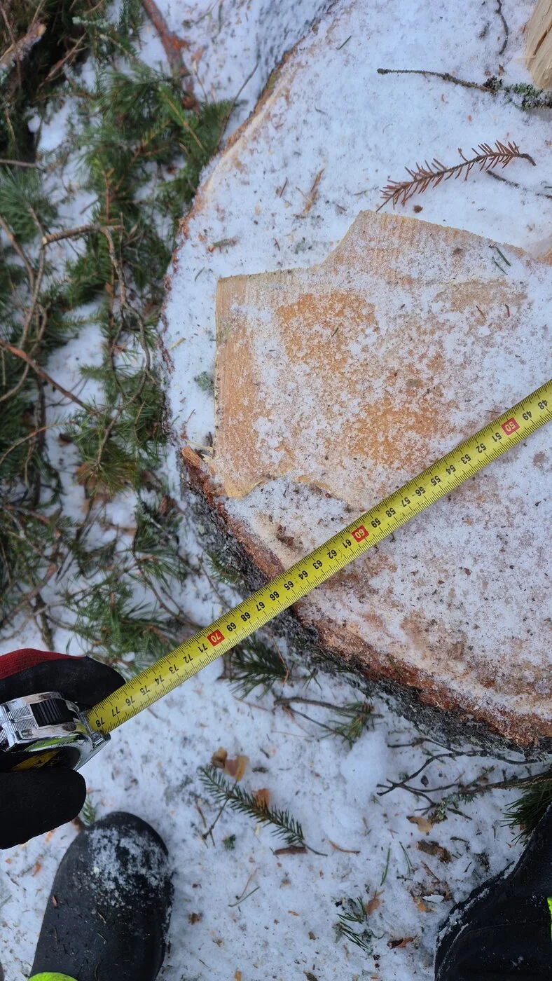 IMG-20250202-WA0036.jpeg