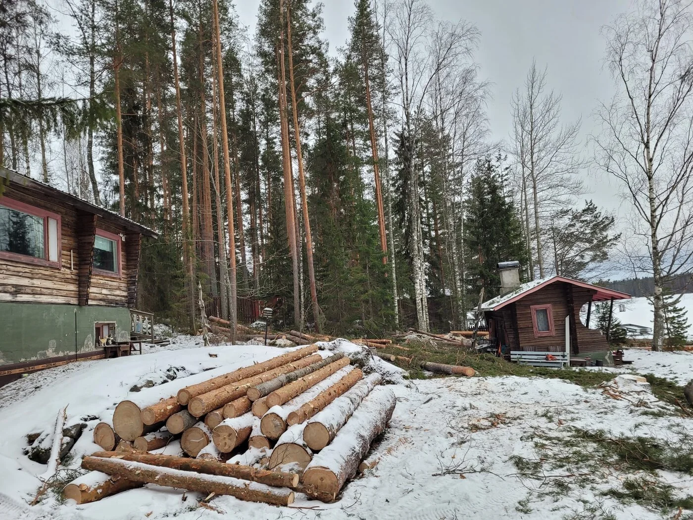 IMG-20250202-WA0046.webp