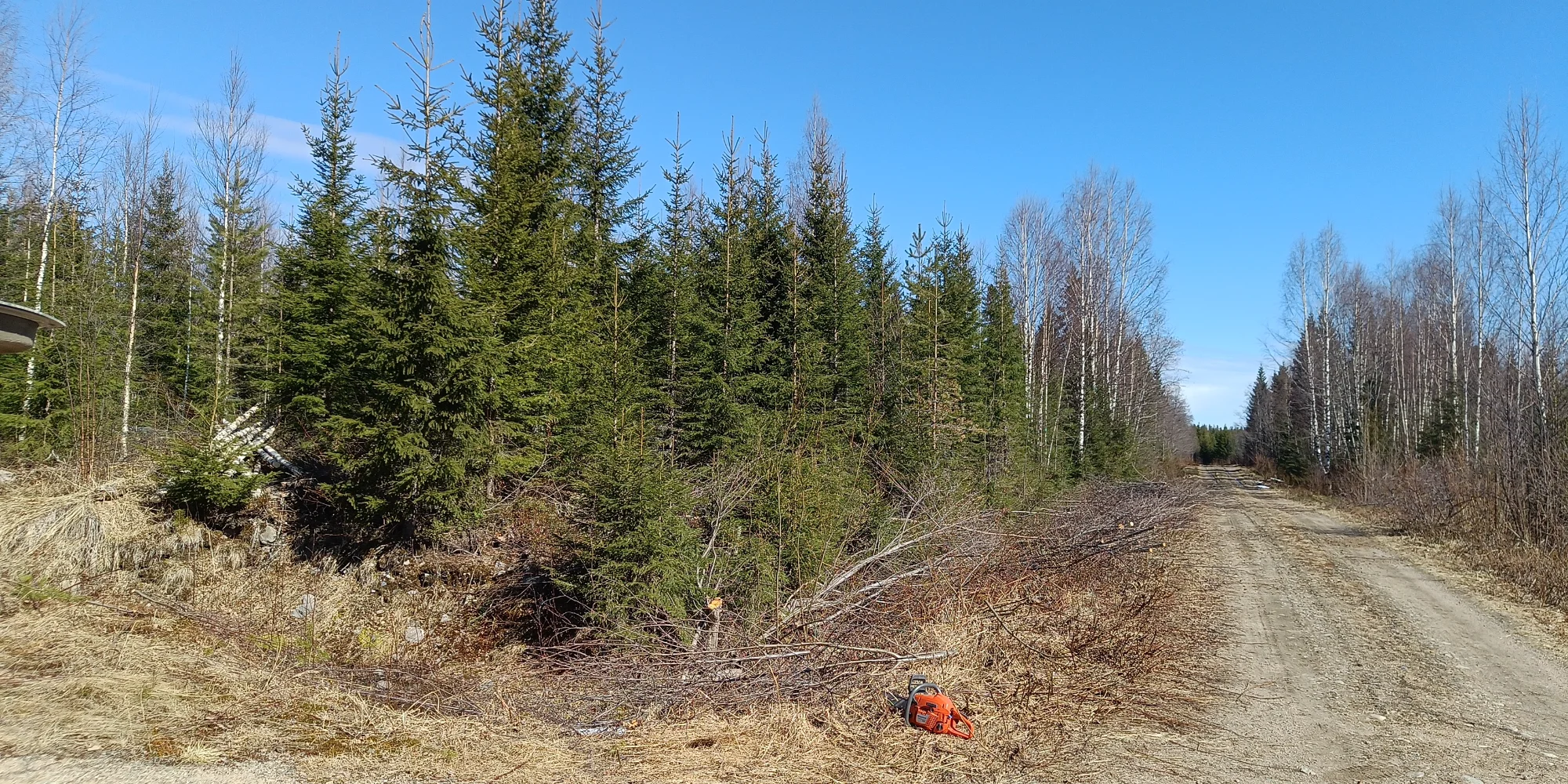 IMG-20250501-WA0009.webp