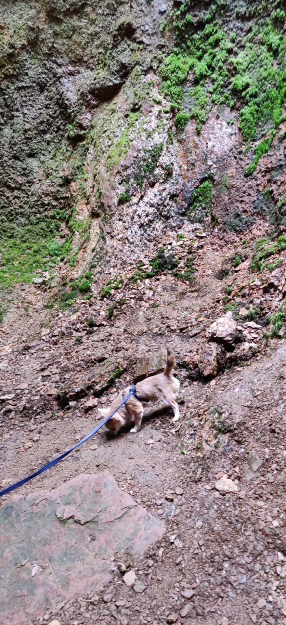 IMG-20250724-WA0009.webp