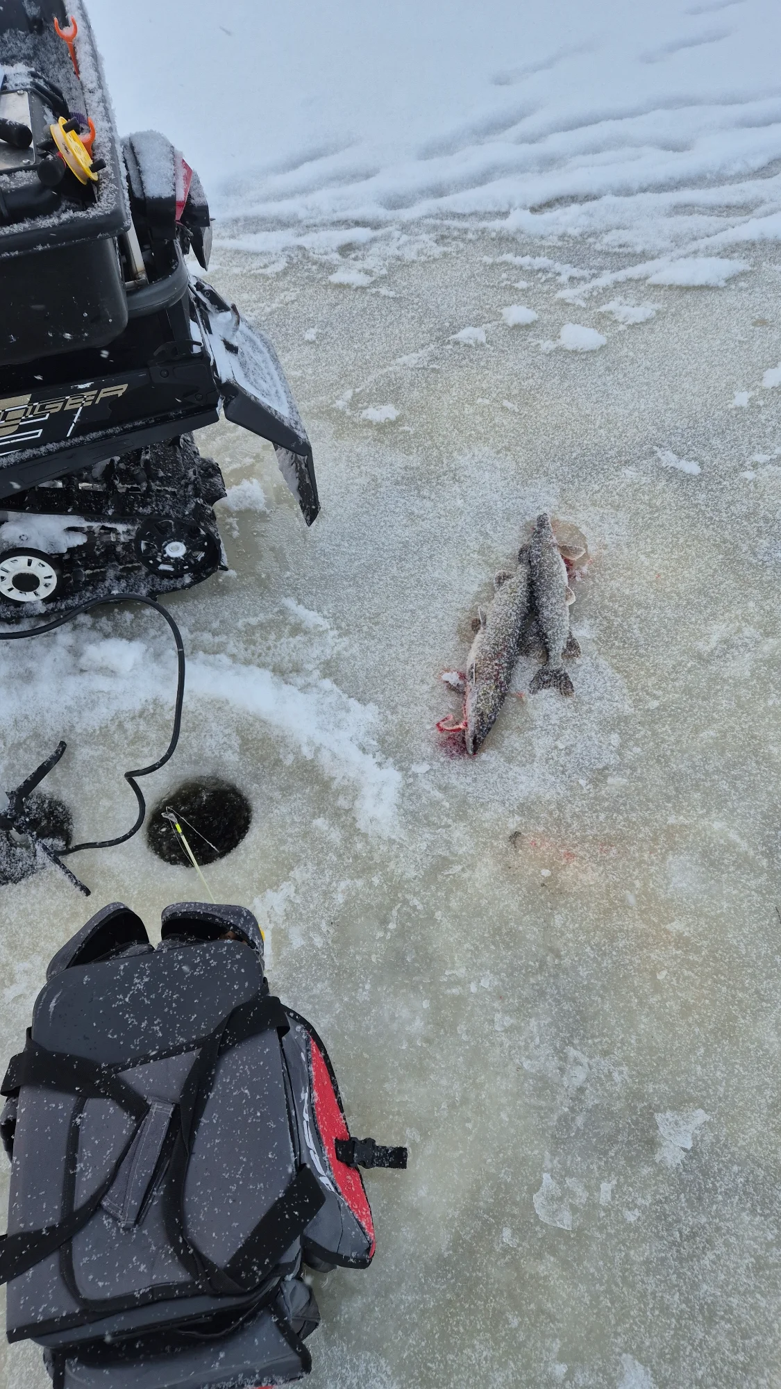 IMG-20260106-WA0006.webp