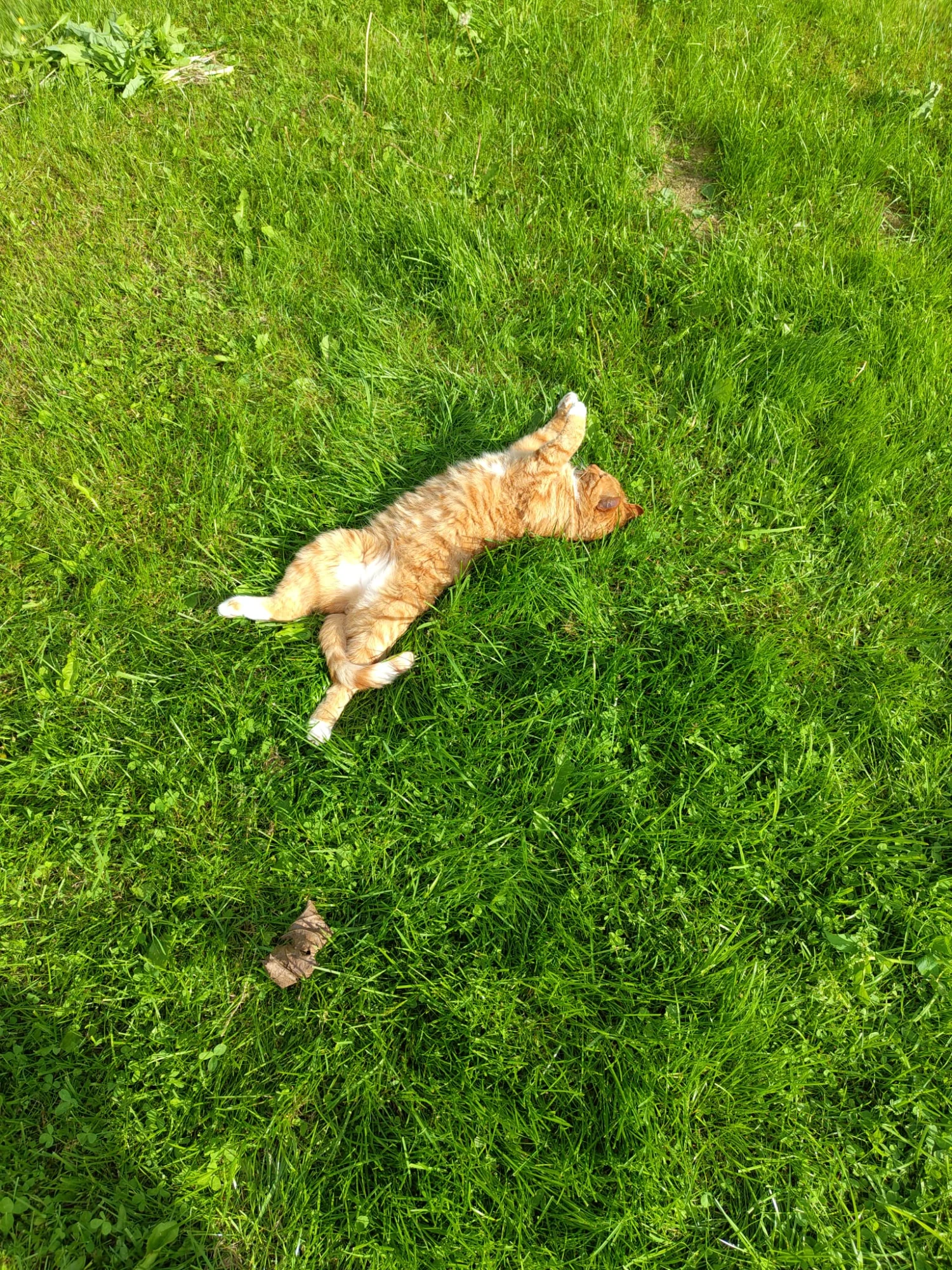 IMG-20260615-WA0008.webp