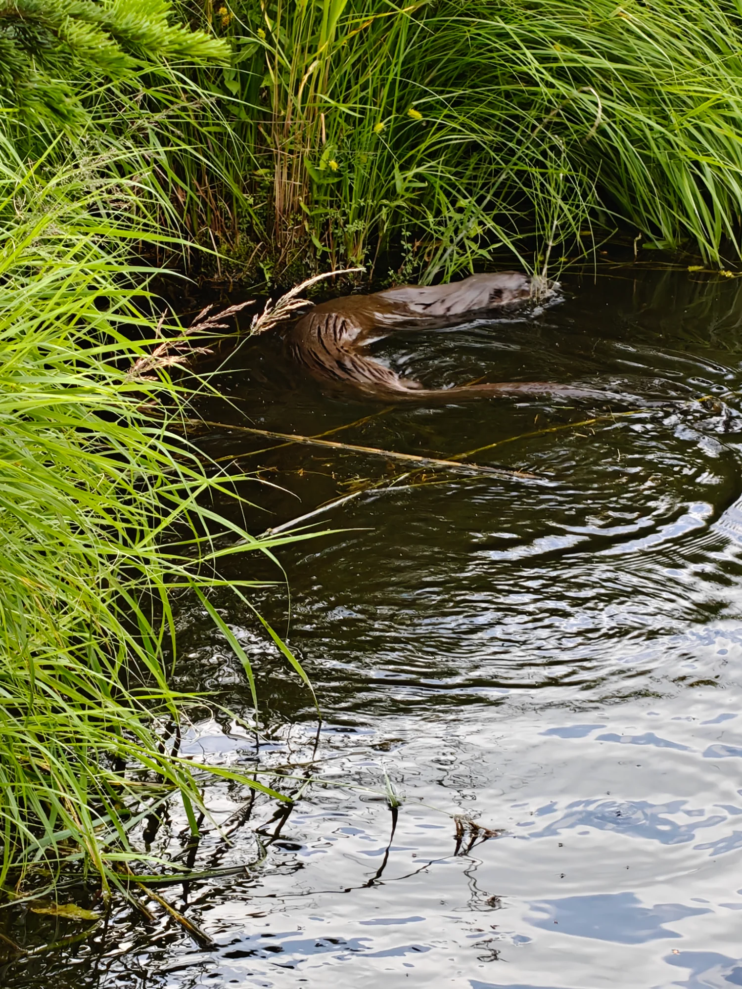 IMG-20260710-WA0013.webp