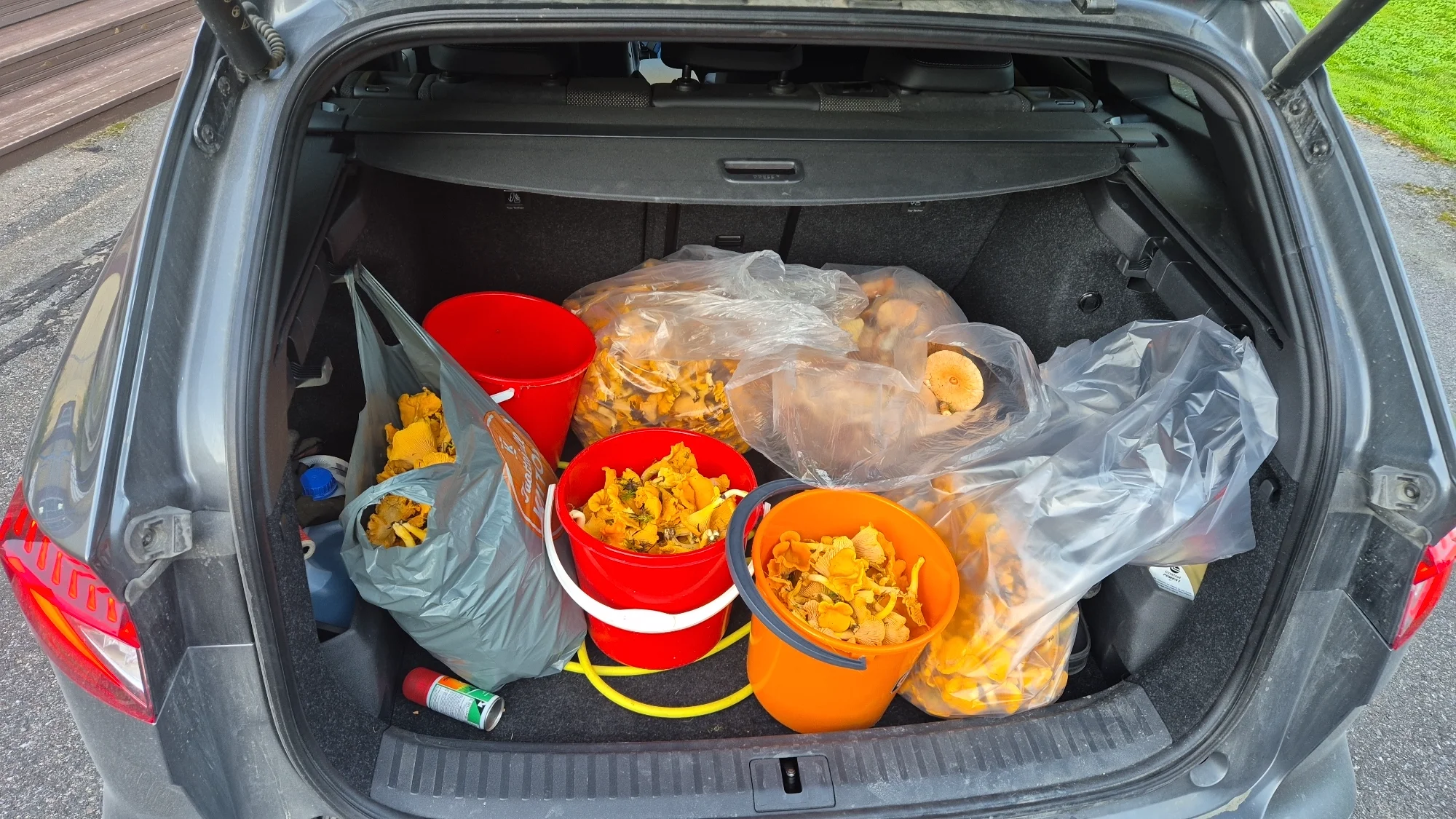 IMG-20260826-WA0043.webp