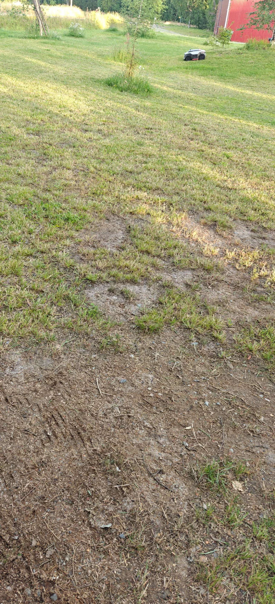IMG20260718214149.webp