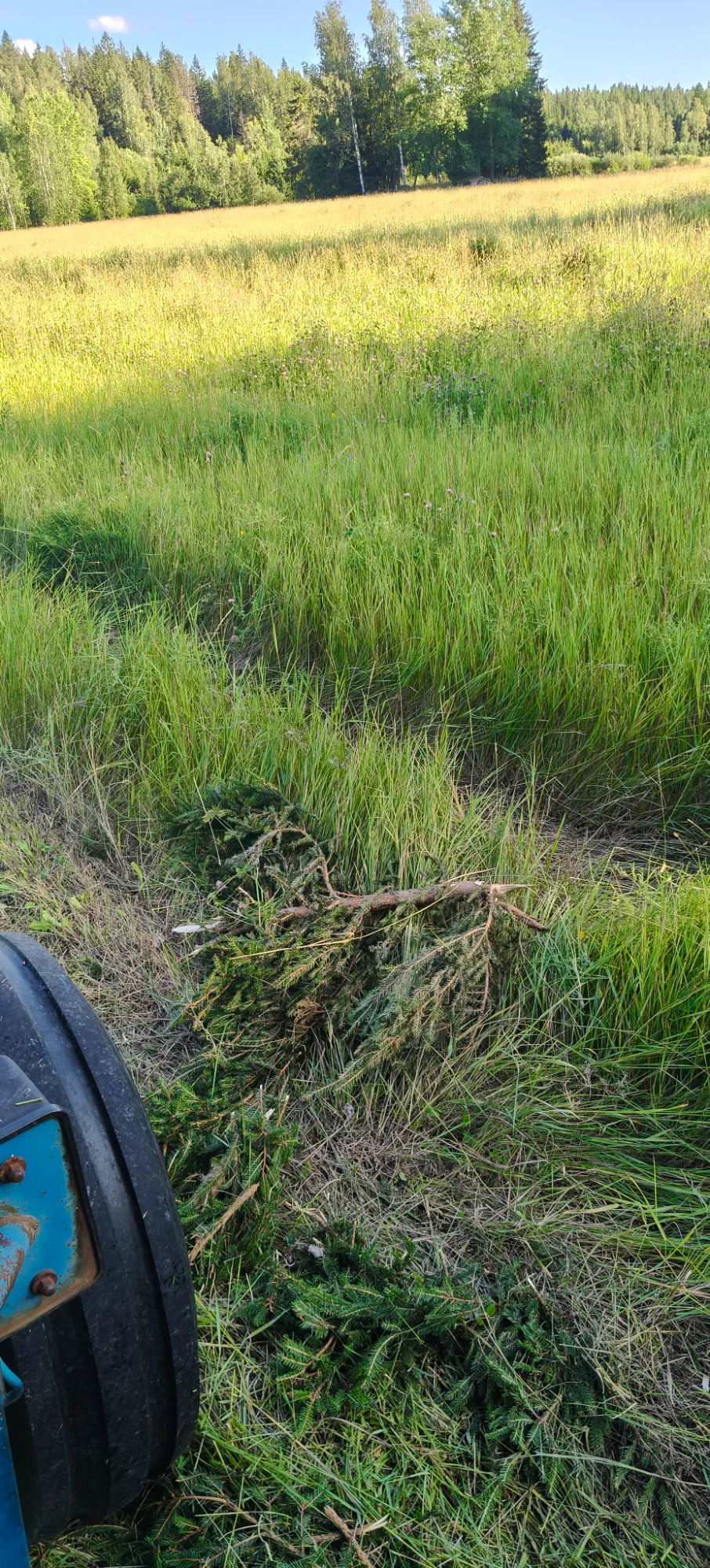 IMG20260729184002.webp