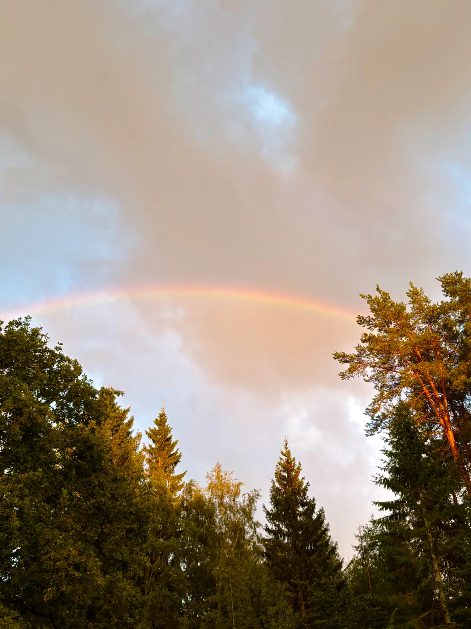 IMG_0003.webp