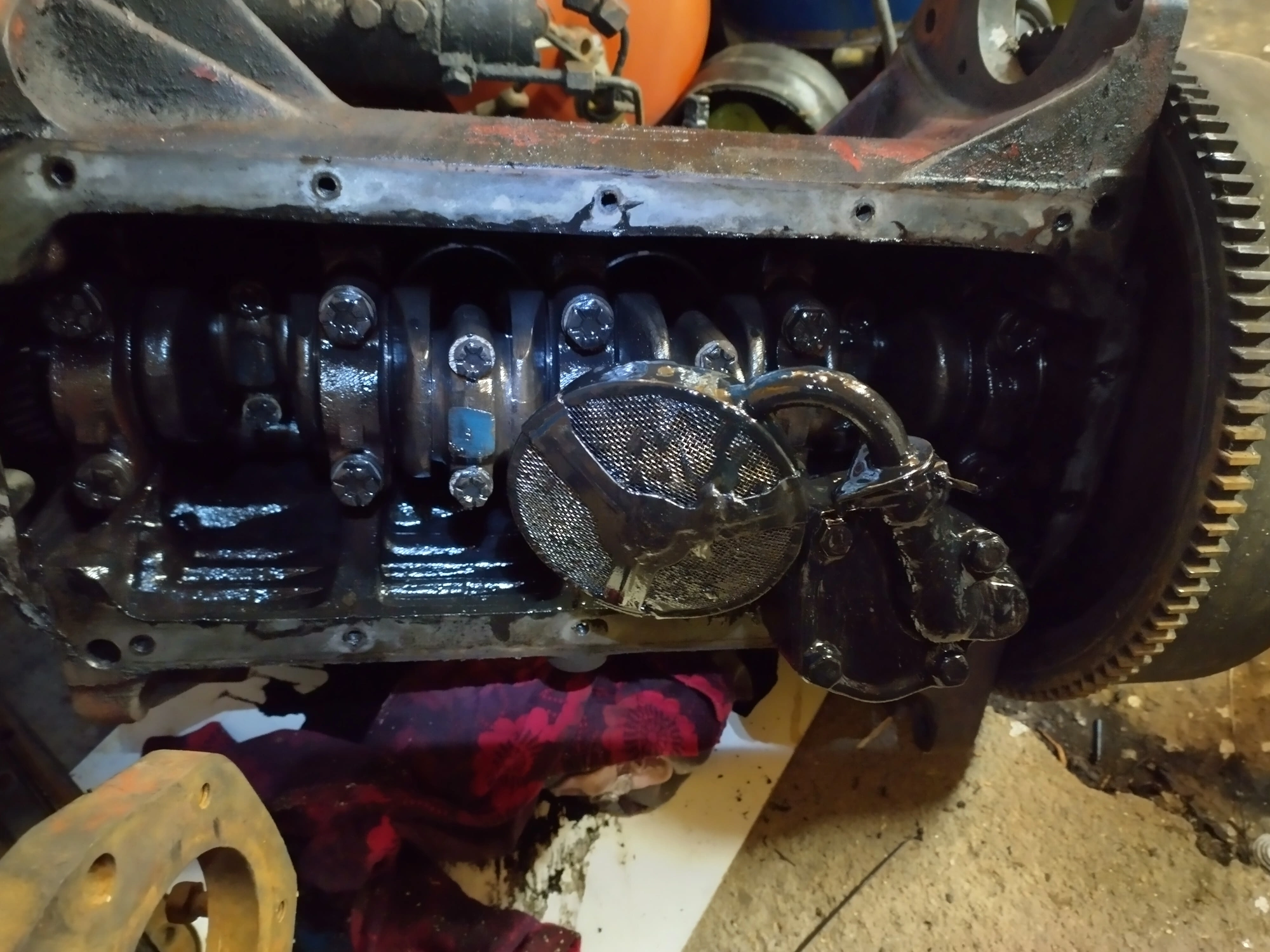IMG_20230119_195514_HDR.webp