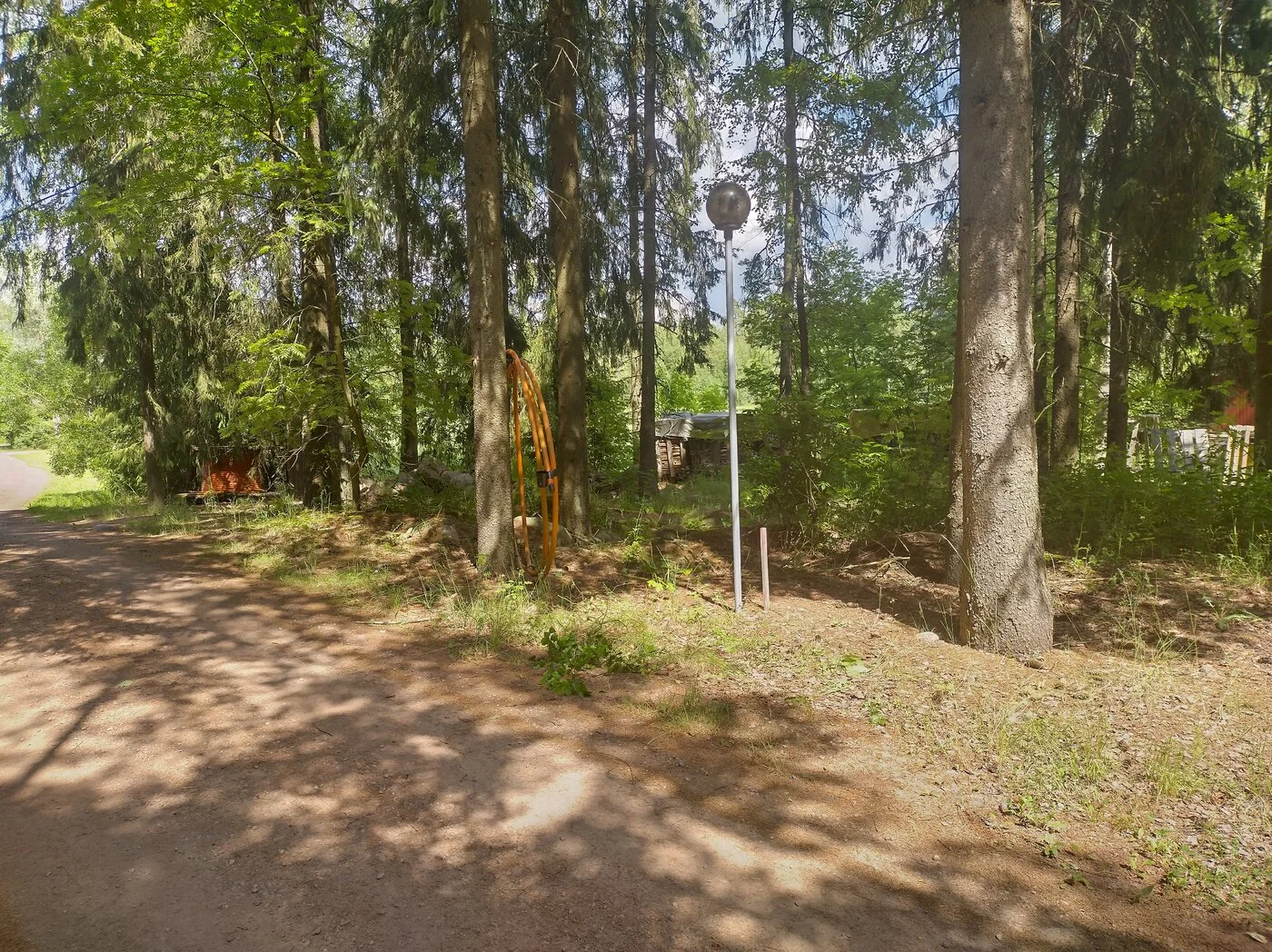 IMG_20230626_142141_HDR.webp