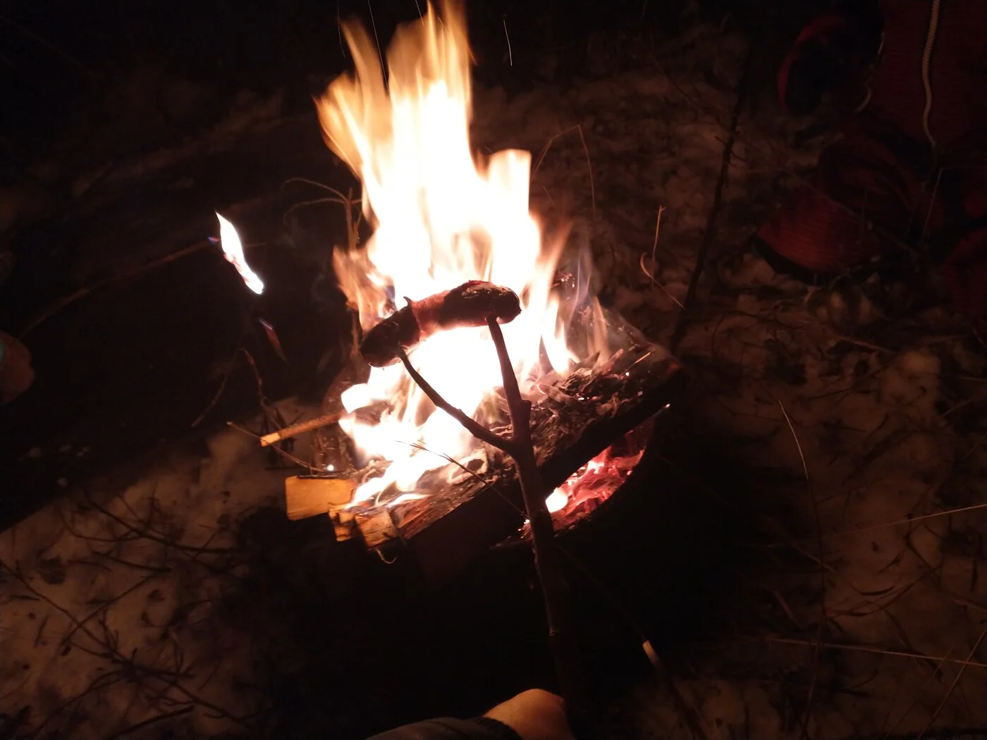 IMG_20231209_164952848.webp
