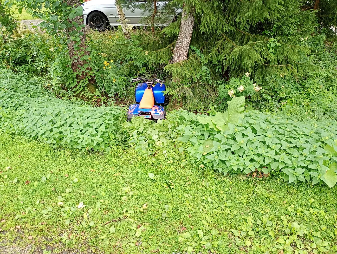 IMG_20240714_132349685_MFNR.webp