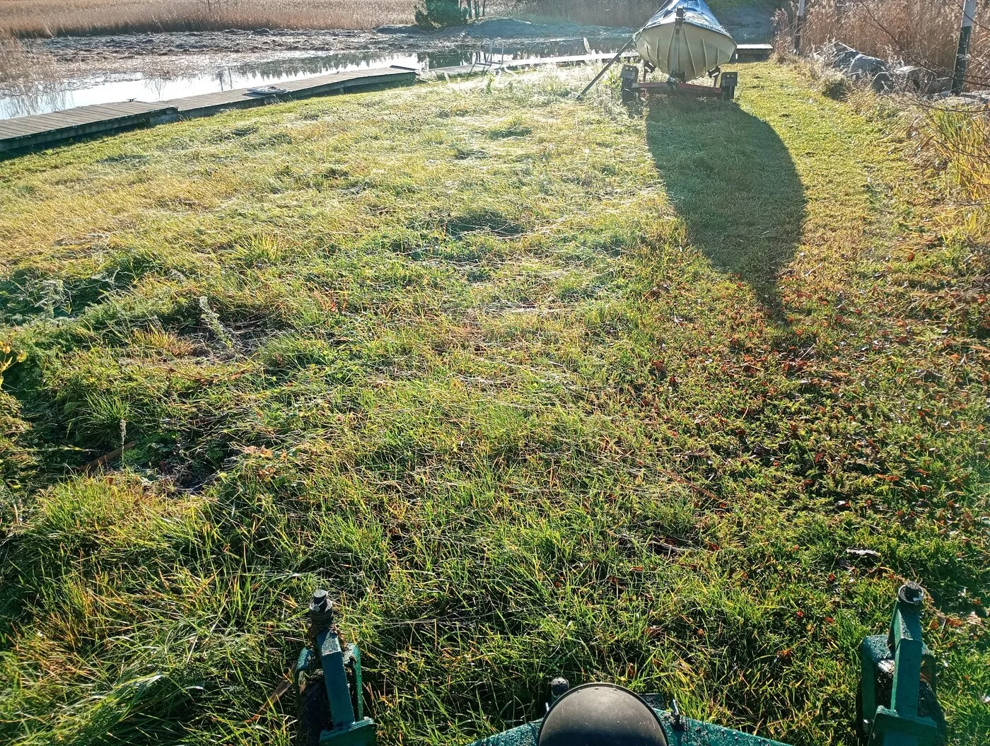 IMG_20241108_111557462_MFNR.webp