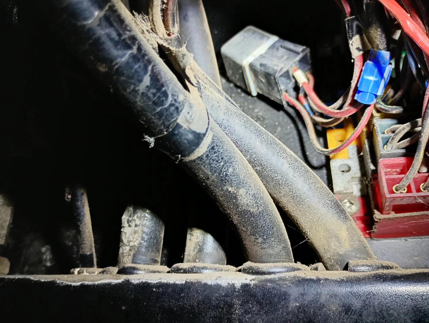 IMG_20241113_173014001_HDR.webp
