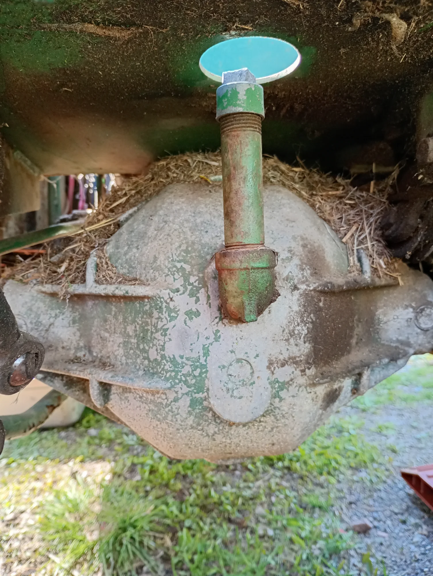 IMG_20250516_154539874_HDR.webp