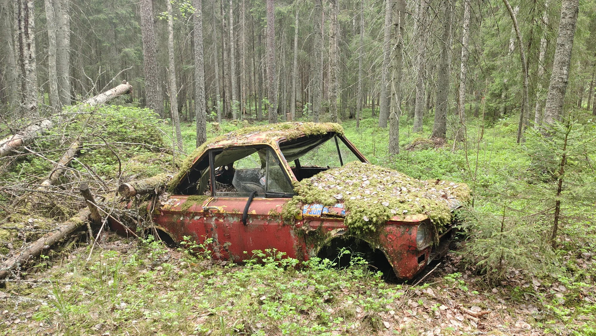 IMG_20250531_141403603_HDR~2.webp