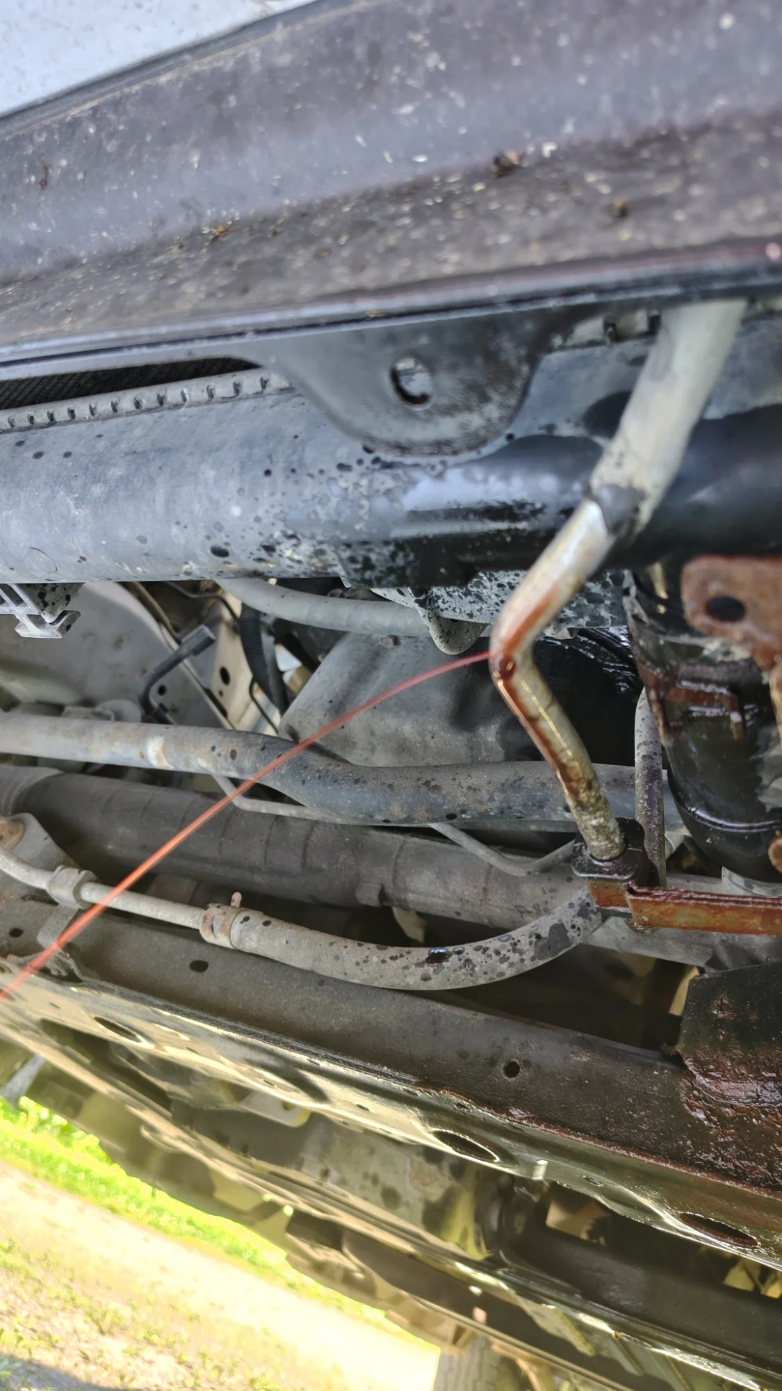IMG_20250717_174251577_HDR.webp