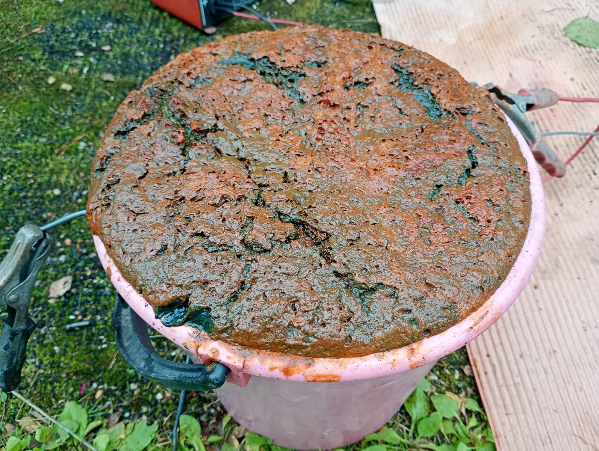 IMG_20250830_152657197_MFNR.webp