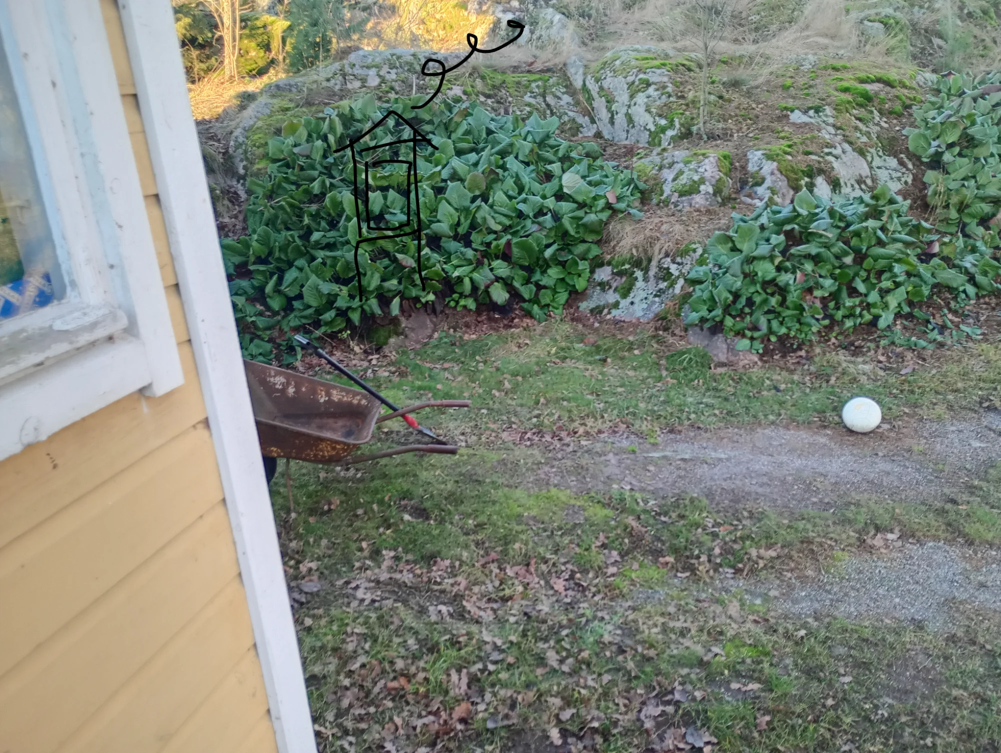 IMG_20251212_124345350_HDR~2.webp
