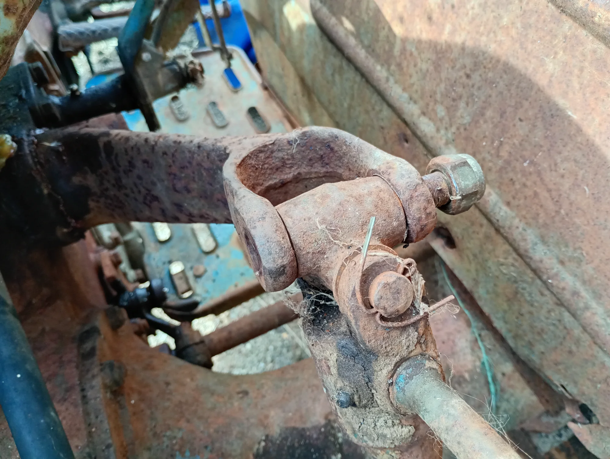 IMG_20260423_135120197_HDR.webp