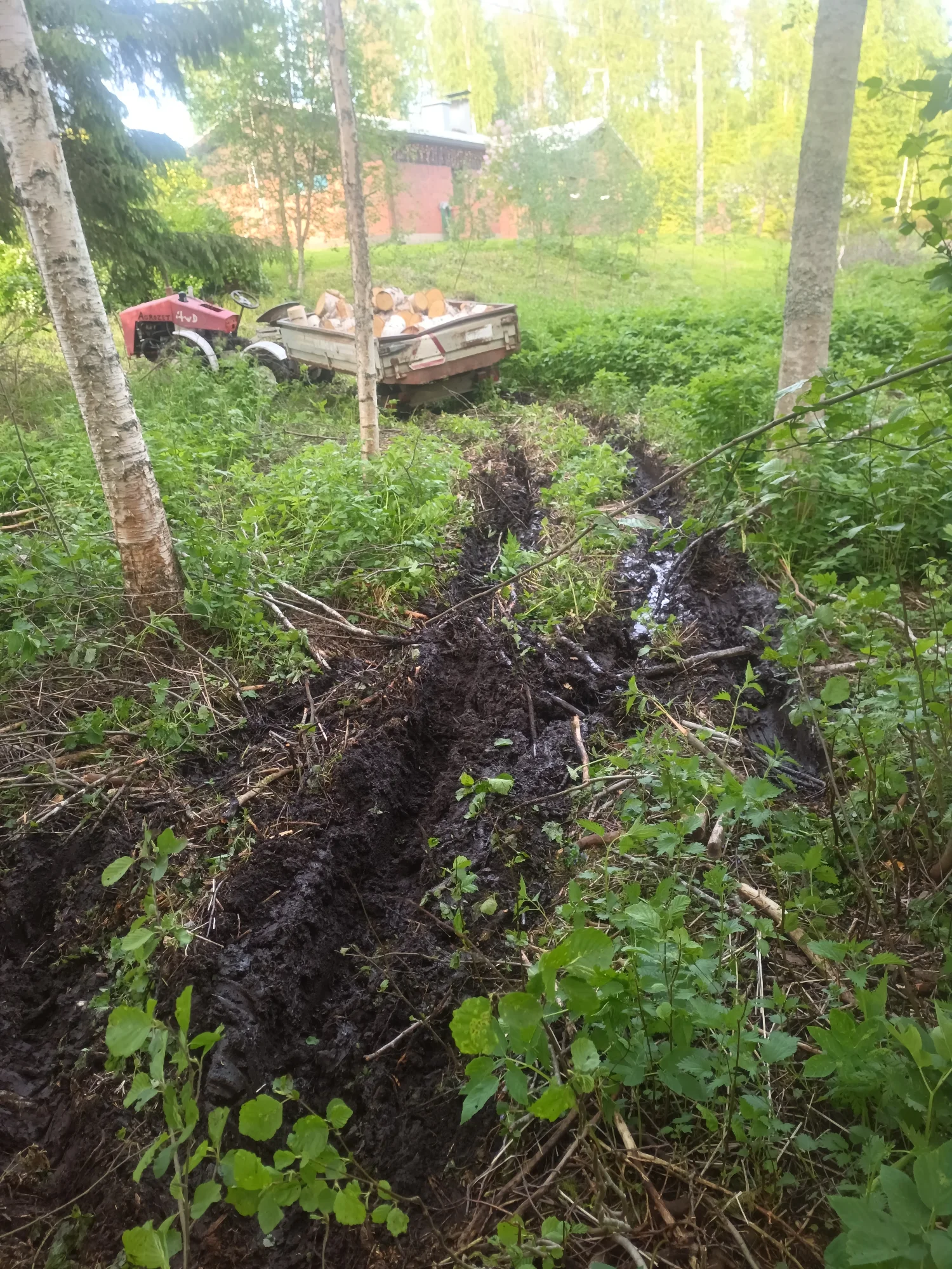 IMG_20260604_195048_765.webp