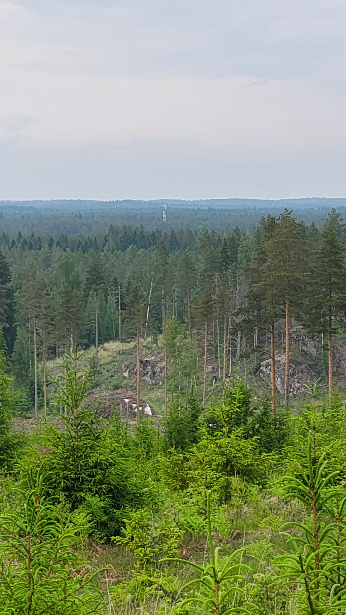 IMG_20260605_164158287_HDR.webp