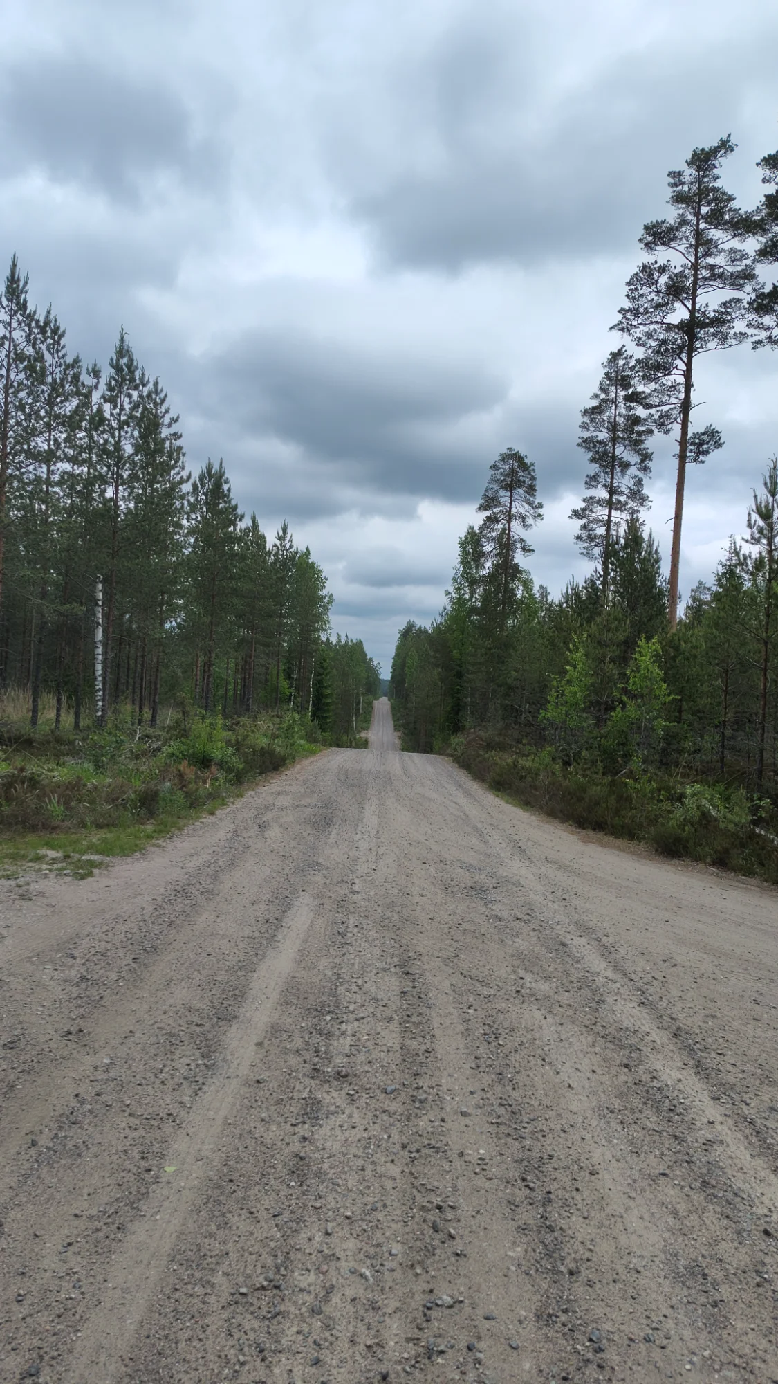 IMG_20260605_171516925_HDR.webp