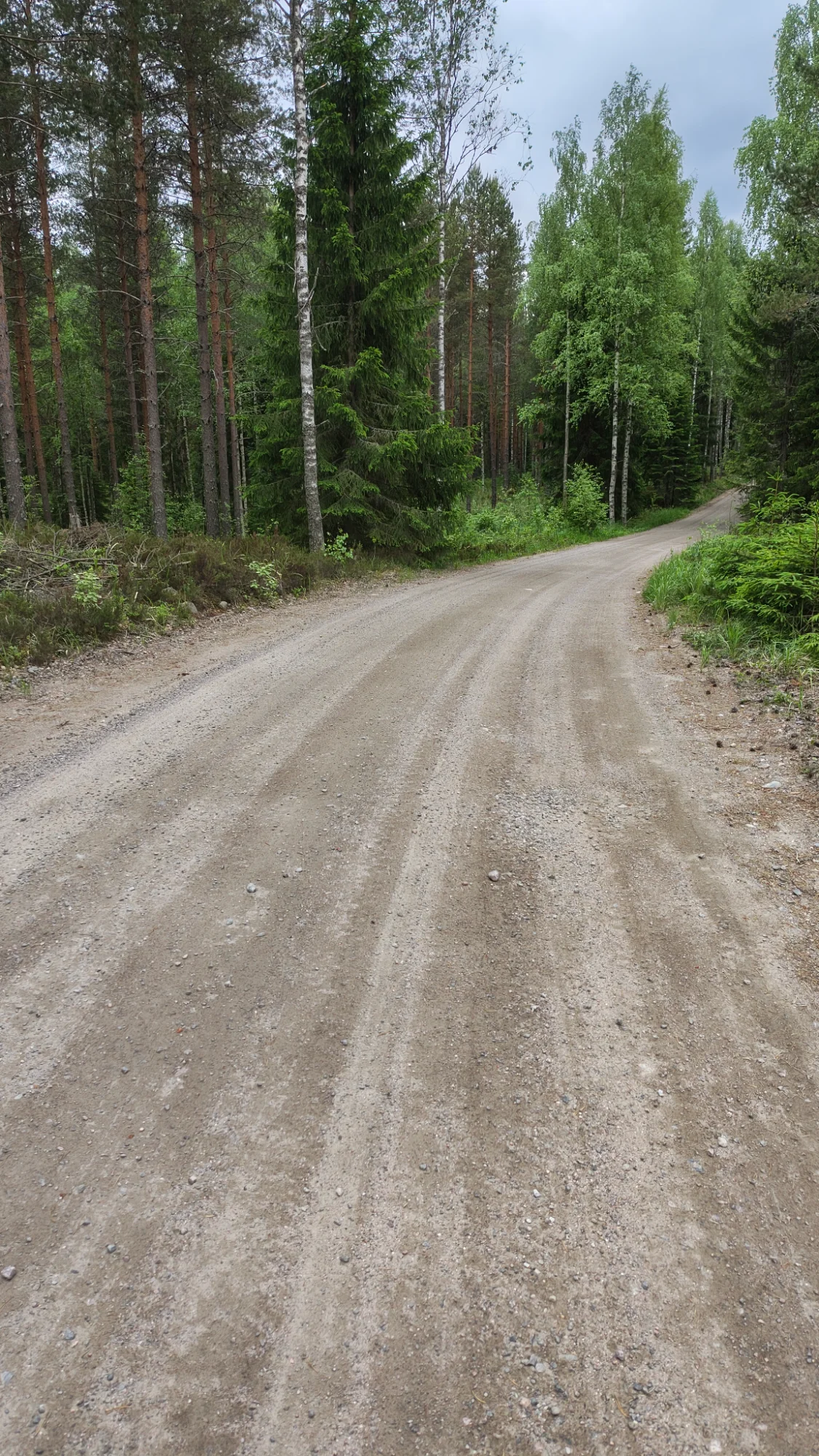 IMG_20260605_172037609_HDR.webp