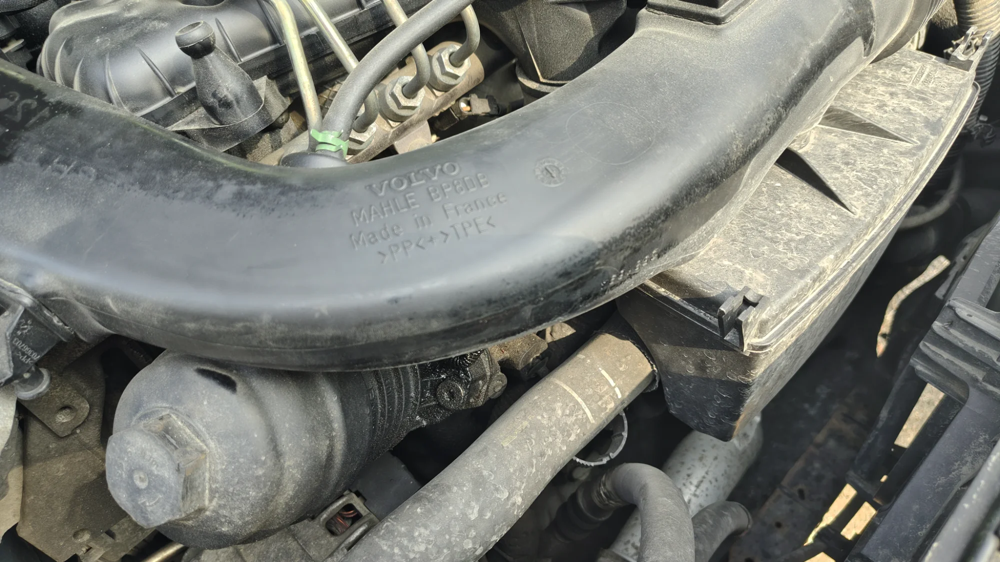 IMG_20260801_105632476_HDR.webp