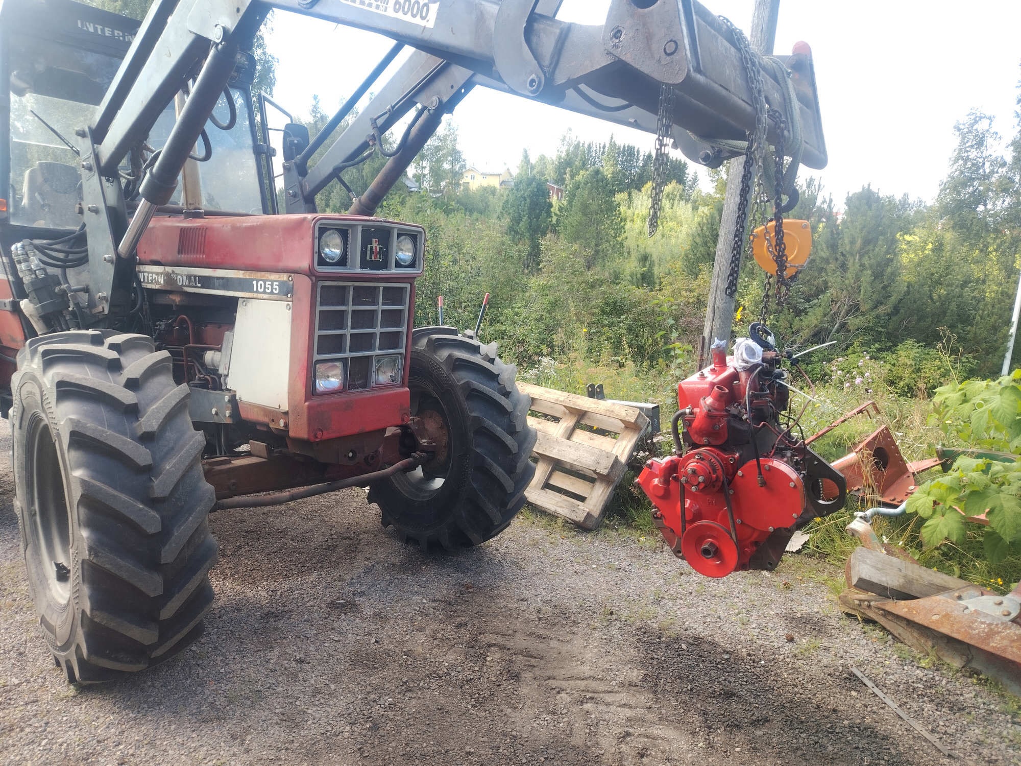 IMG_20260808_105345.webp