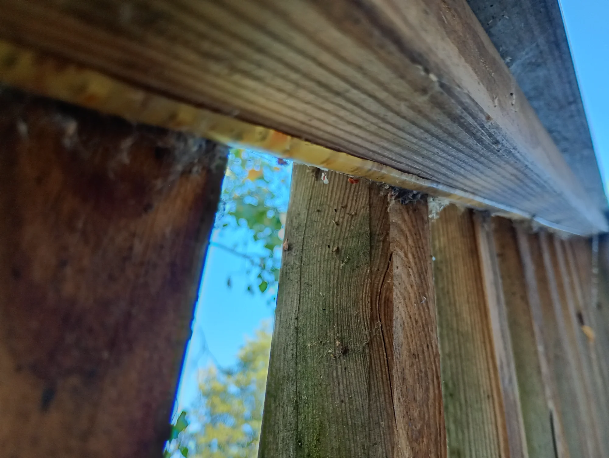 IMG_20260827_175410235_HDR.webp