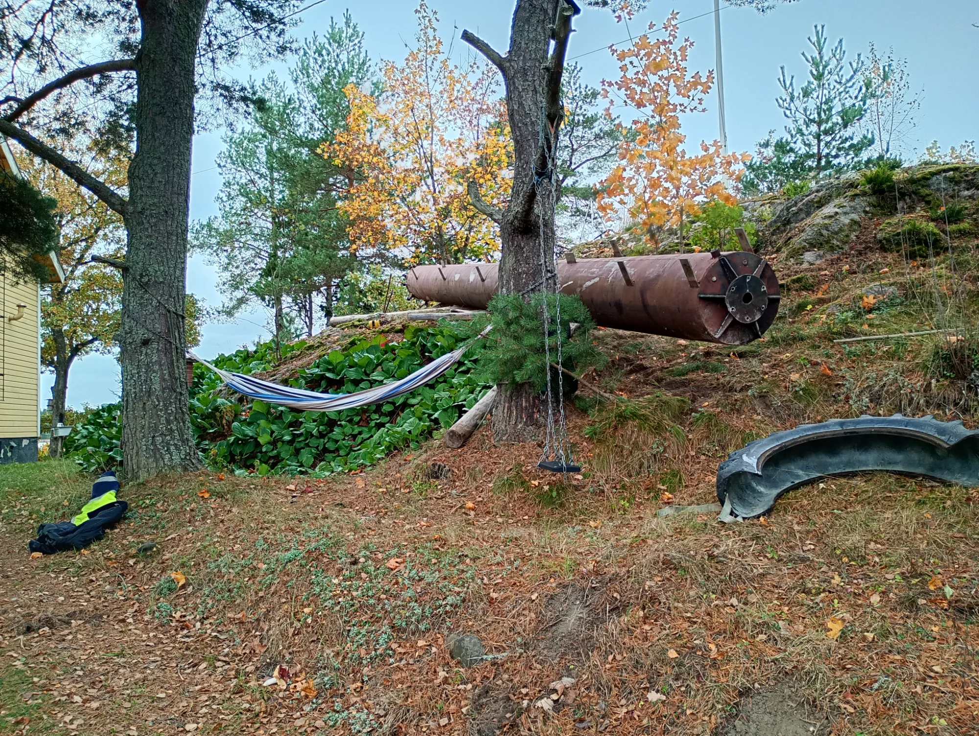 IMG_20261008_160223698_HDR.webp